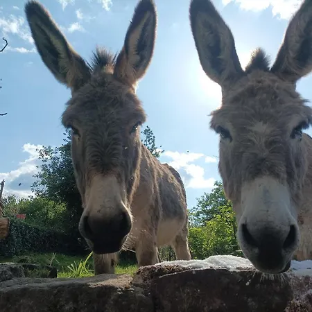 Les Charmois - Spa Possible Sur Un Autre Site