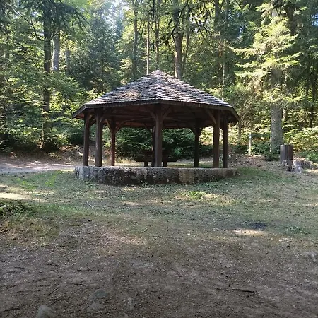 Les Charmois - Spa Possible Sur Un Autre Site Apartamento Bains-les-Bains