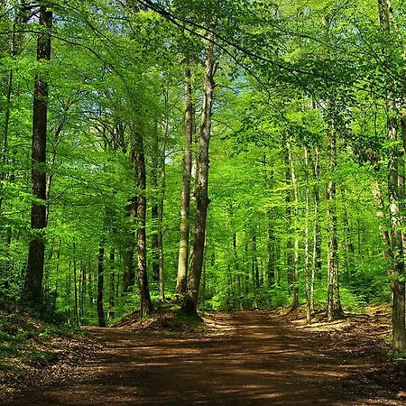 Les Charmois - Spa Possible Sur Un Autre Site Apartmán