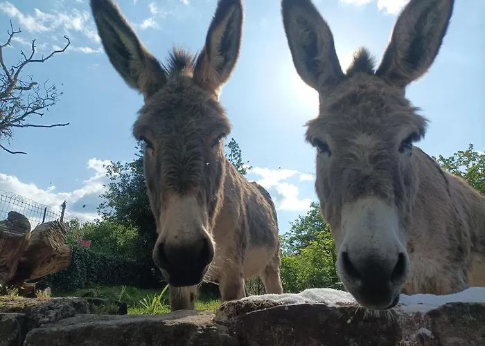 Les Charmois - Possible Sur Un Autre Site