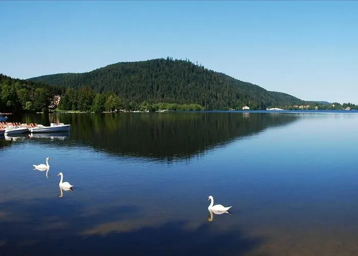 Les Charmois - Possible Sur Un Autre Site Bains-les-Bains